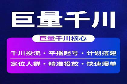 百度竞价代运营成功案例解析